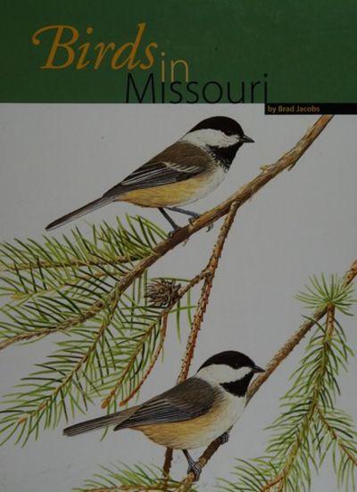 White background with a green strip across the top. Two thin pine branches stretch across the page from the right top to the left bottom. On these branches sit two small birds.