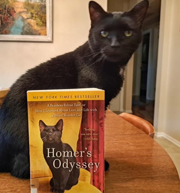 Black cat and the book Homer's Odyssey