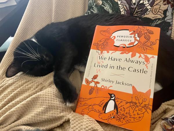 Cat with the book We Have Always Lived in the Castle by Shirley Jackson