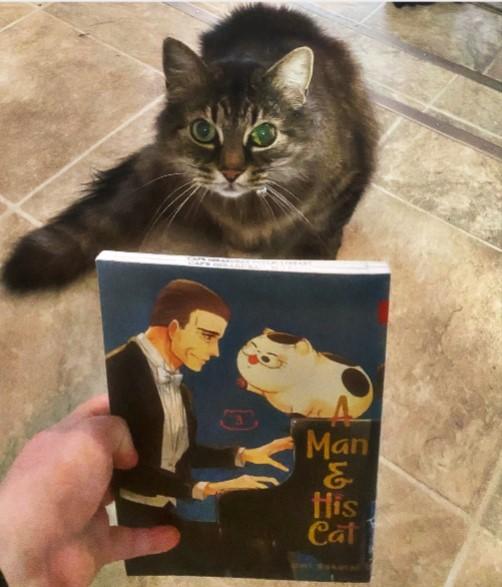 Tora with the book A Man and His Cat